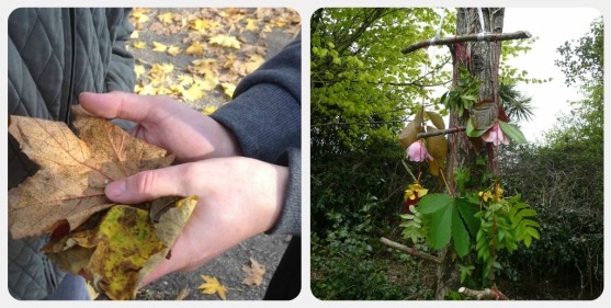 bird feeder and leaves